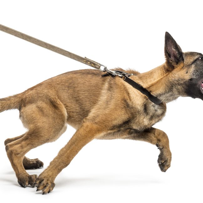 Innerer Kritiker an die Kette